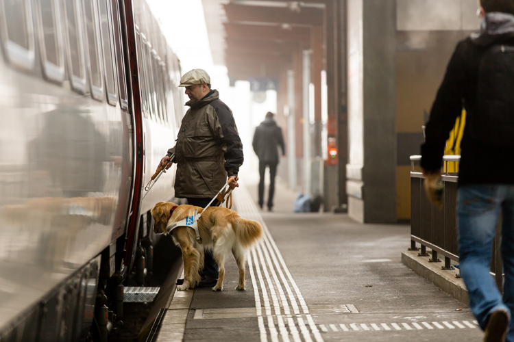 Ein Mann mit Blindenführhund und Blindenstock steigt in einen Zug ein. Bild: SZBLIND