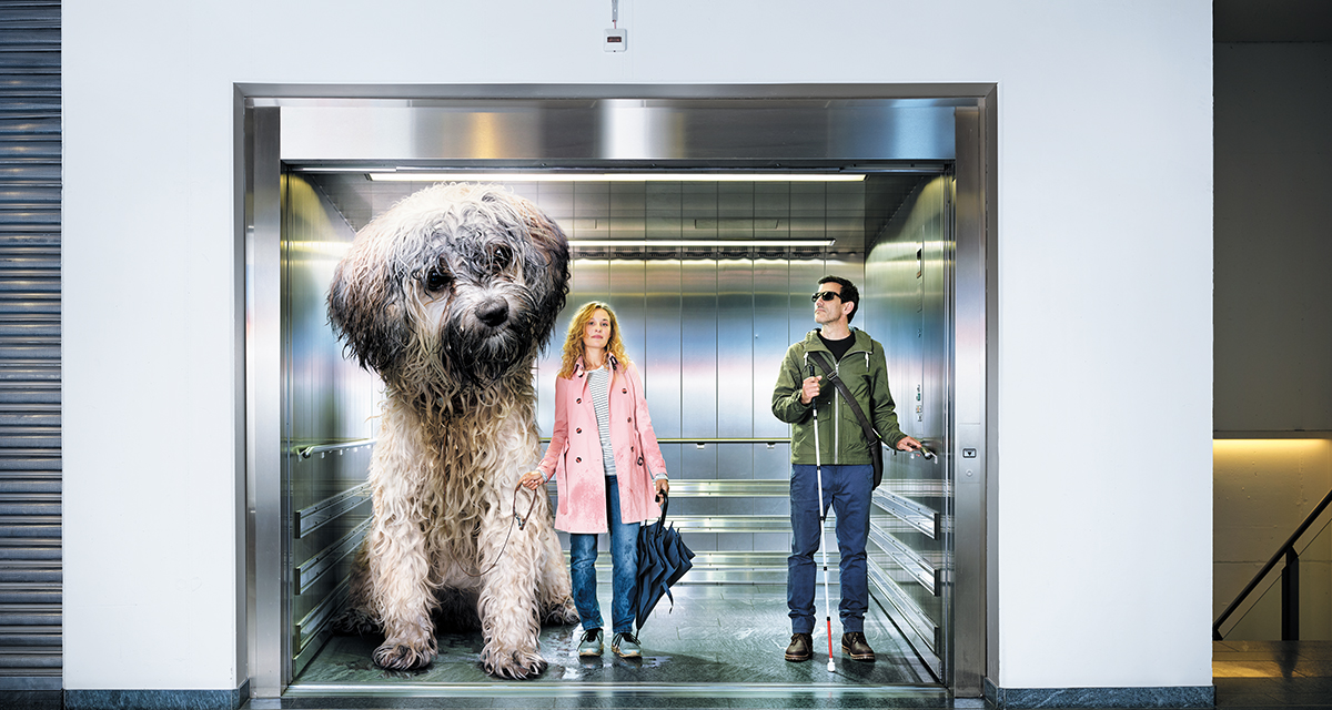 Ein überdimensionierter nasser Hund in einem Lift mit Frauchen und einer sehbehinderten Person